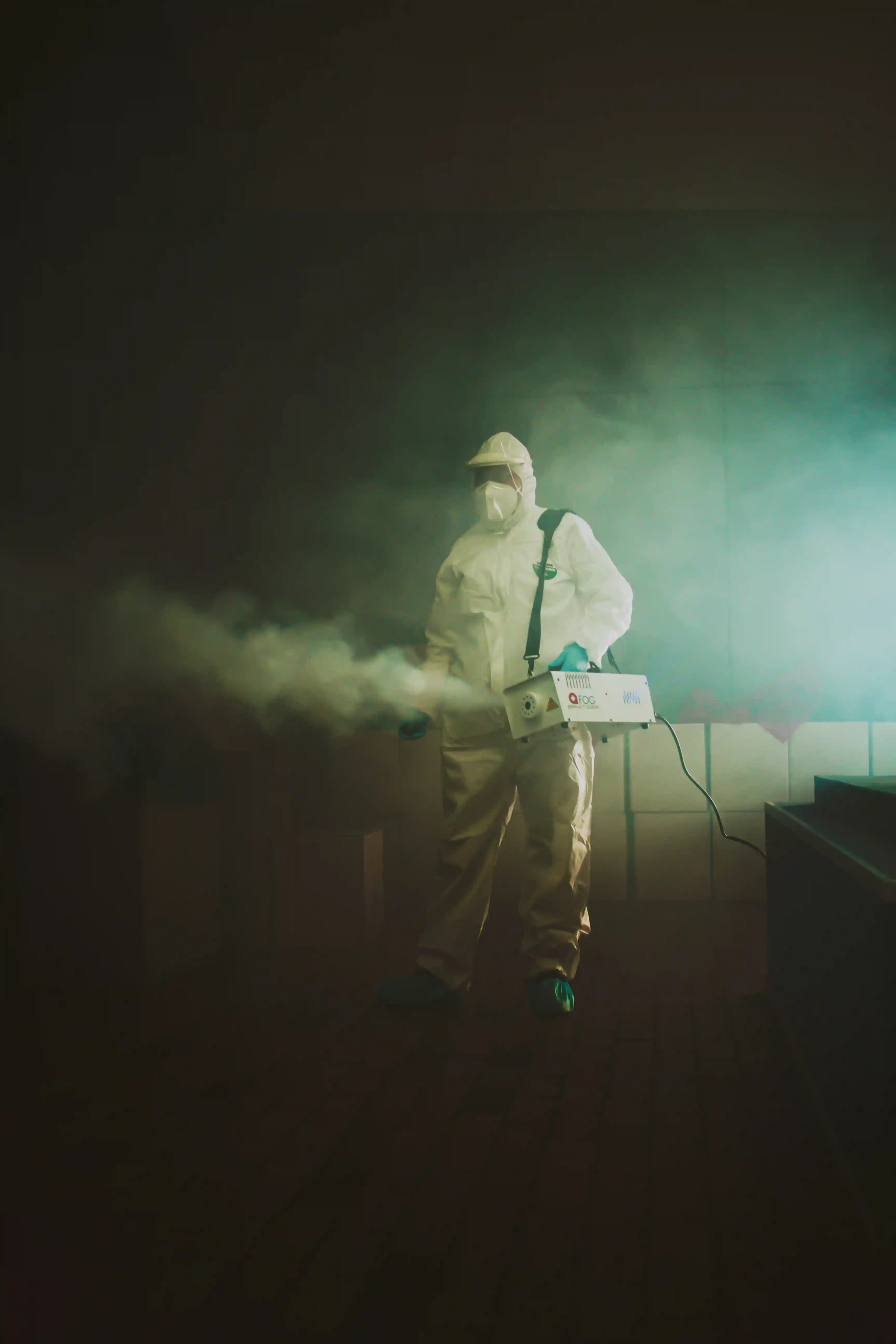 Pest Control Services Abu Dhabi